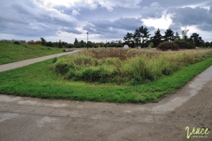 kam-na-hriste-ceske-budejovice_13
