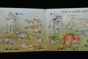 Leporelo se zvířátky Kdo k sobě patří