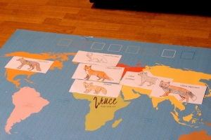 Druhy lišek - rozřazení na mapě světa