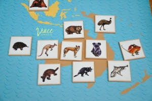 Mapa kontinentů se zvířaty,