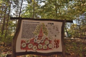 park-mirakulum-2024_09