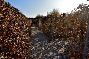 park-mirakulum-2024_22