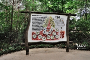 Zábavní park Mirákulum - naučná stezka