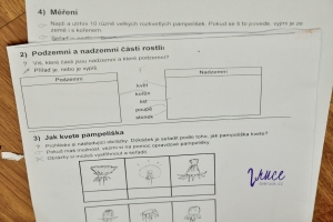 Pracovní list pampelišky