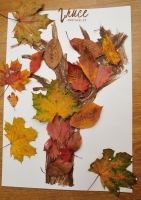 Podzimní strom z listí