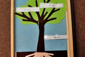 Téma stromy pro předškoláky - části stromu z filcu
