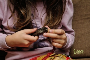 Montessori - Praktický život