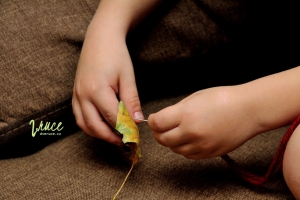 Montessori - Praktický život