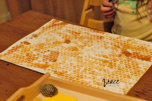 Vývoj včely - výroba plakátu na nástěnku - obtisk bublinkové fólie