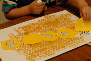 Vývoj včely - výroba plakátu na nástěnku