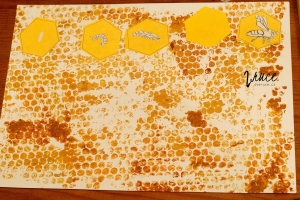 Vývoj včely - výroba plakátu na nástěnku