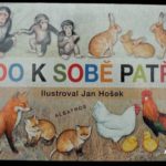 Kdo k sobě patří