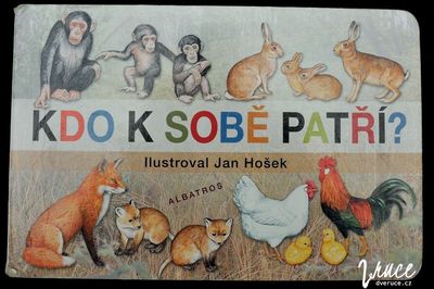 Kdo k sobě patří