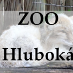 ZOO Hluboká